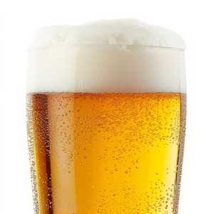 Dos Equis Lager (Draft)