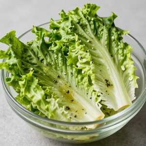 Boston Lettuce & Herb Salad