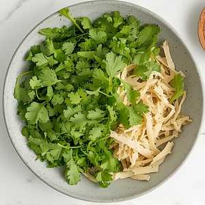 Cilantro & Shredded Tofu