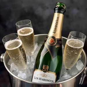 LOS HAROLDOS CHAMPAGNE