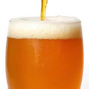 Karbach Hopadillo