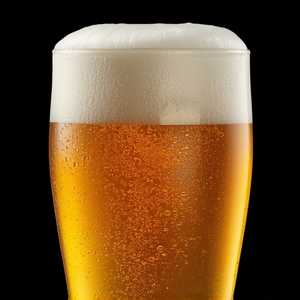 Terrapin Hopsecutioner