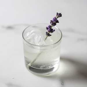 Floral Fixation (Gin, Lavender)