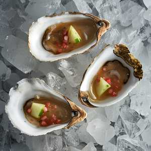 Cold Water Oysters on the Half Shell