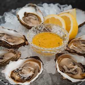 Oysters