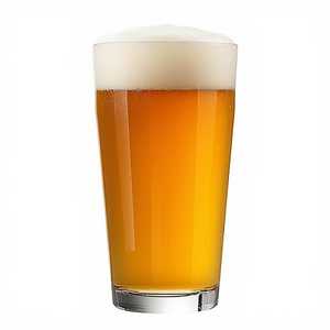 Texas Leaguer Two Hopper, Double Ipa, Missouri City