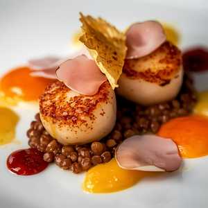 SCALLOP
