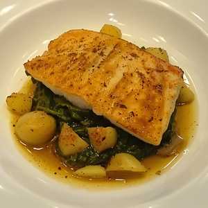 Snapper