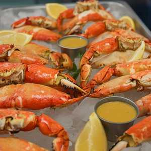 Florida Stone Crab
