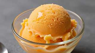 Sorbet