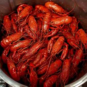 Crawfish (Live)