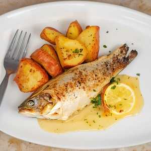 Rainbow Trout