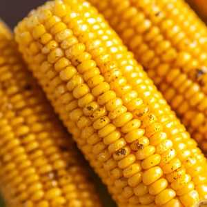 Corn on the Cob (1/2 Order)