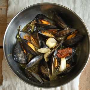 Mussels