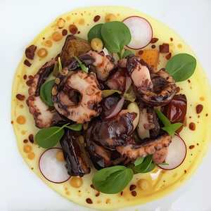 Octopus salad