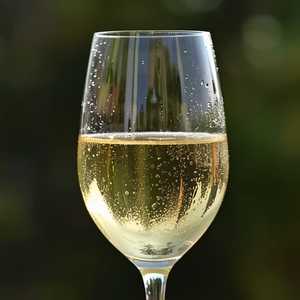 CASTORO CELLARS chardonnay • paso robles, ca