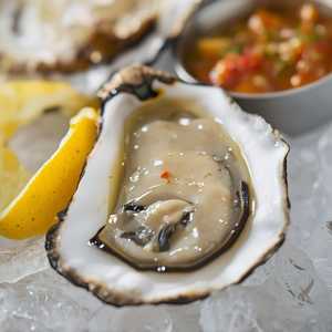 Island Creek Oysters