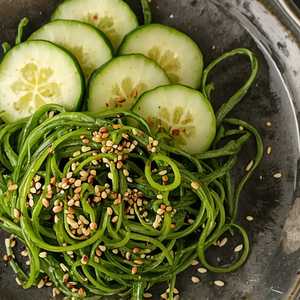 Seaweed Sld