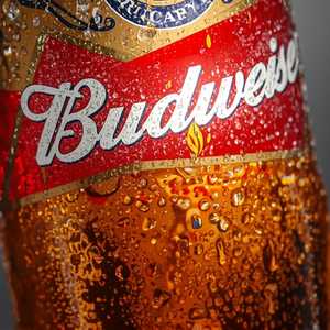Domestic Beer - Bud
