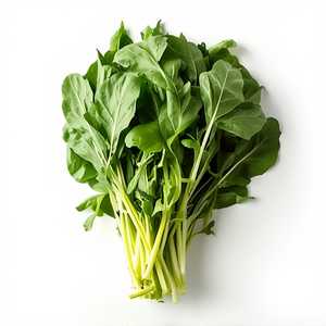 Arugula