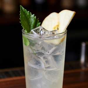 Ginza Highball