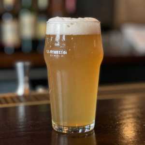 MONTAUK WAVECHASER IPA