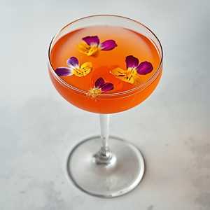 Social Graces