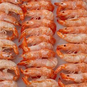 Peeled Shrimp