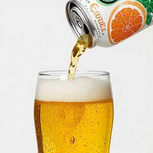Rupee India Pale Ale (16oz)