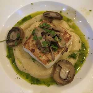 Halibut