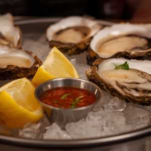 DAILY OYSTERS
