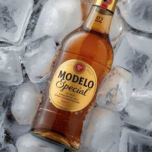 MODELO ESPECIAL