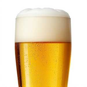 Portuguese Lager