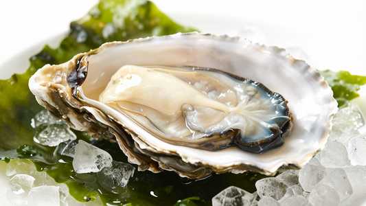 Seasonal Boutique Oysters