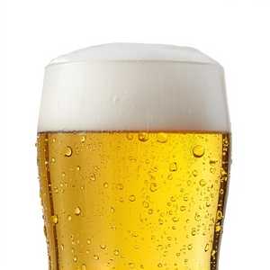 Let There Be Light Lager