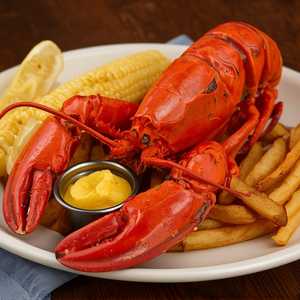 Maine Lobster