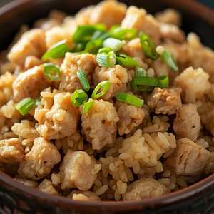 Salted Fish with Diced Chicken Fried Rice