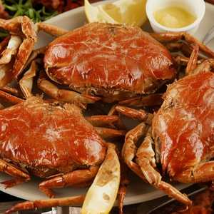 Steamed or Chilled Dungeness Crab by the Cluster
