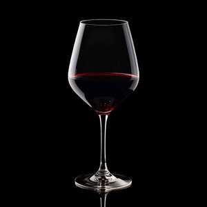 Bertani Valpolicella