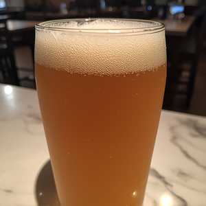 Hazy IPA