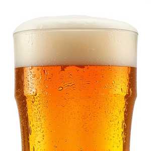 Harpoon IPA