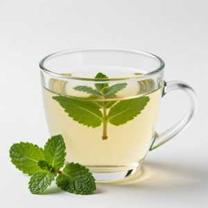 Mint Verbena