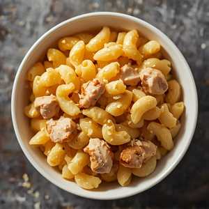 Kids Cheesy Chicken Pasta