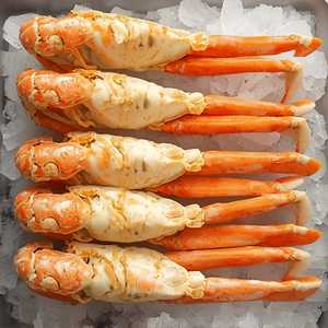 Dungeness Crab