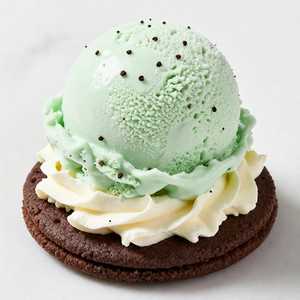 Supplant Sweetener Spearmint Ice Cream
