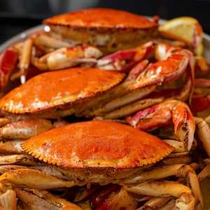 Dungeness Crab (One and a Half Crabs)