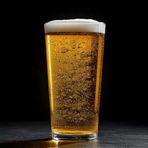 IPA 'THE APPRENTICE'