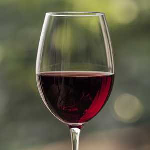 Pavolino Pinot Noir