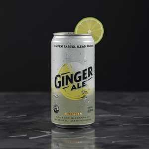 Ginger Ale Can