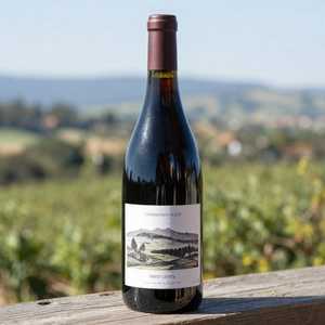 Pinot Noir Whole Cluster Willamette Valley Vineyards 2023